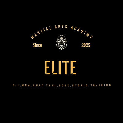 Elite Martial Arts Academy